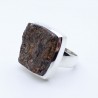 astrophyllite bijou