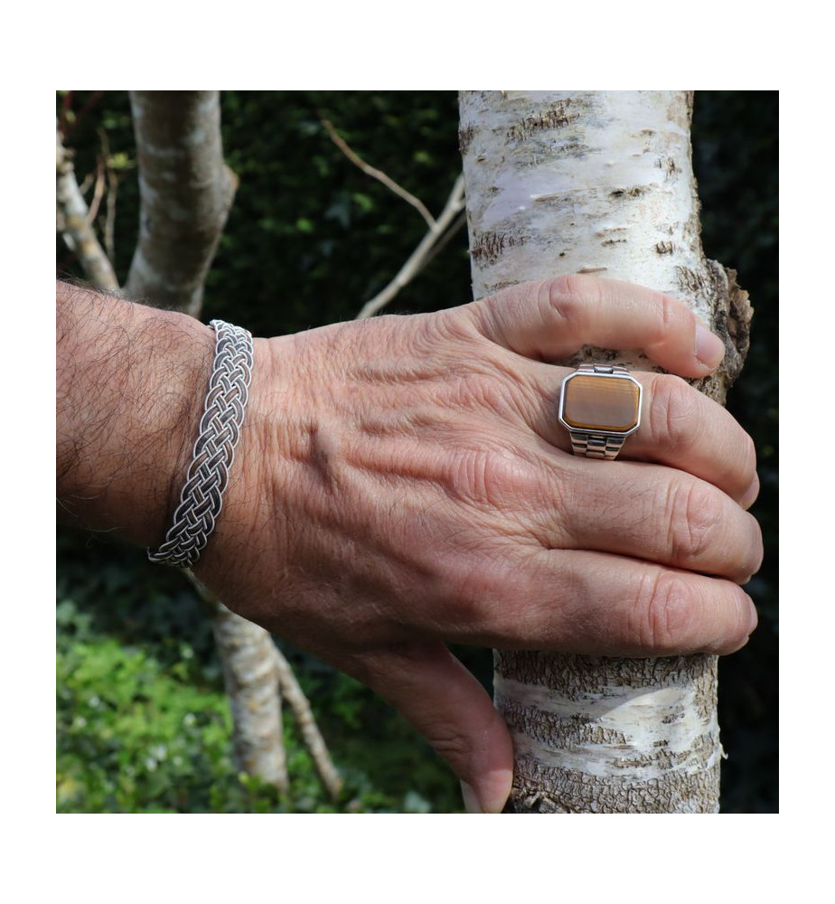 bague oeil de tigre argent