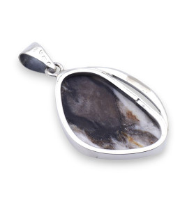 pendentif argent et bois pétrifié