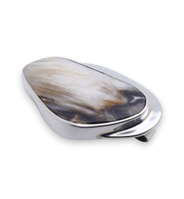 bois pétrifié pierre