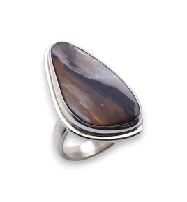 bois pétrifié bijoux