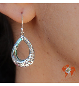 abalone boucles d'oreilles