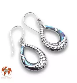 abalone boucles d'oreilles