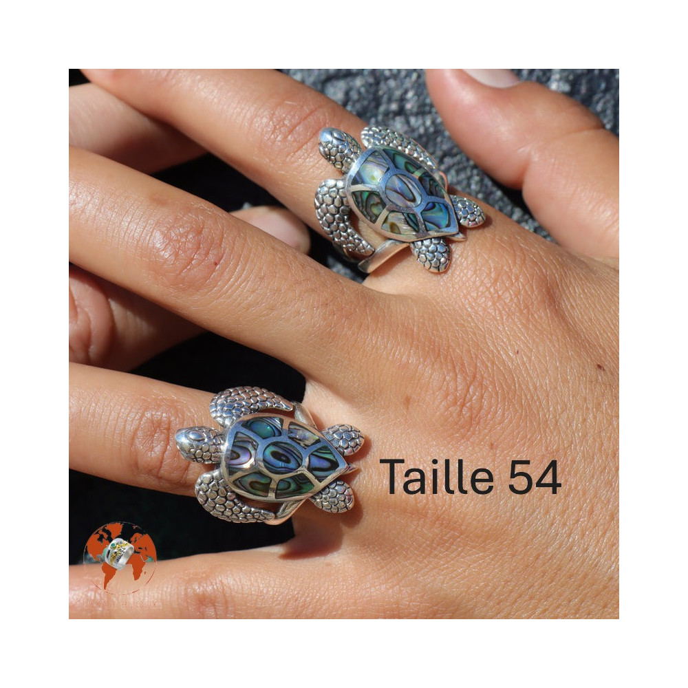 tortue bijoux