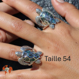 tortue bijoux
