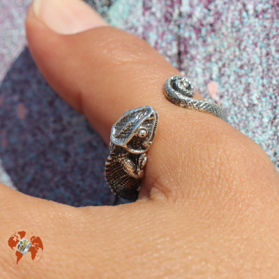caméléon bague argent homme
