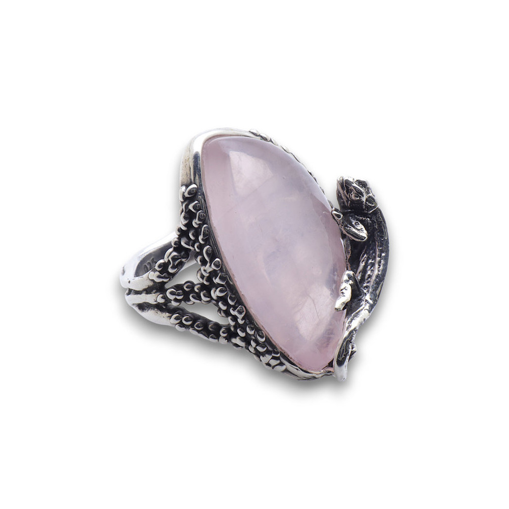 bague cameleon argent femme